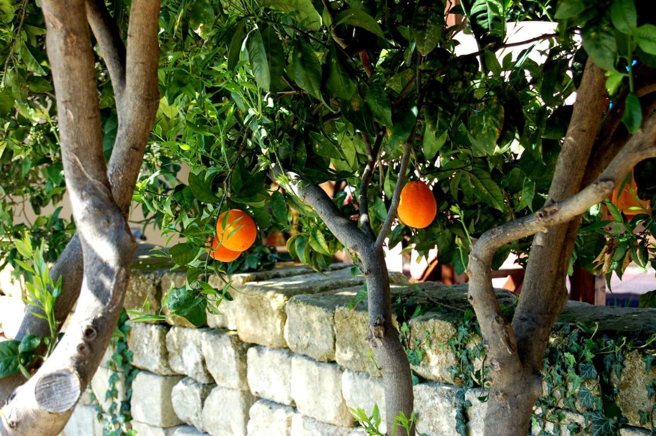 Vila Il Giardino Del Sole Agnone Bagni Exteriér fotografie